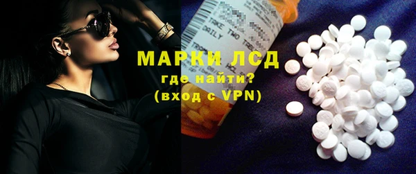 прущие грибы Абаза
