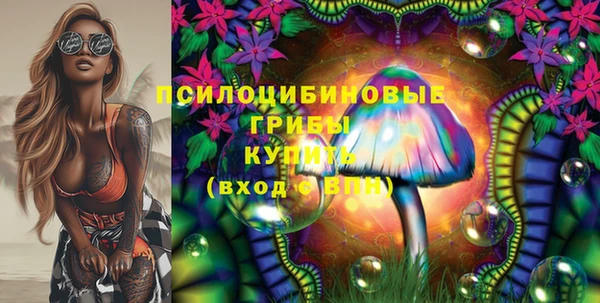 меф Алексин