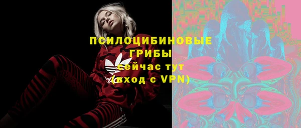 прущие грибы Абаза