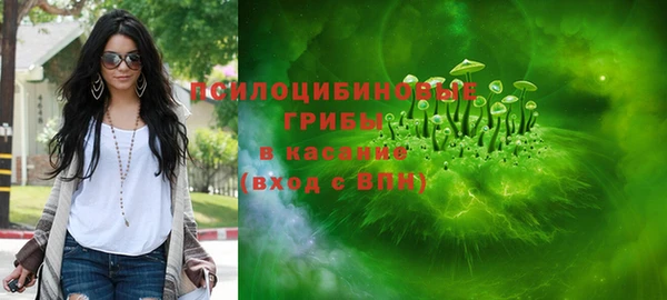 прущие грибы Абаза