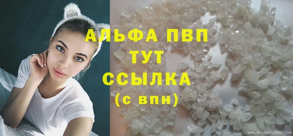 прущие грибы Абаза