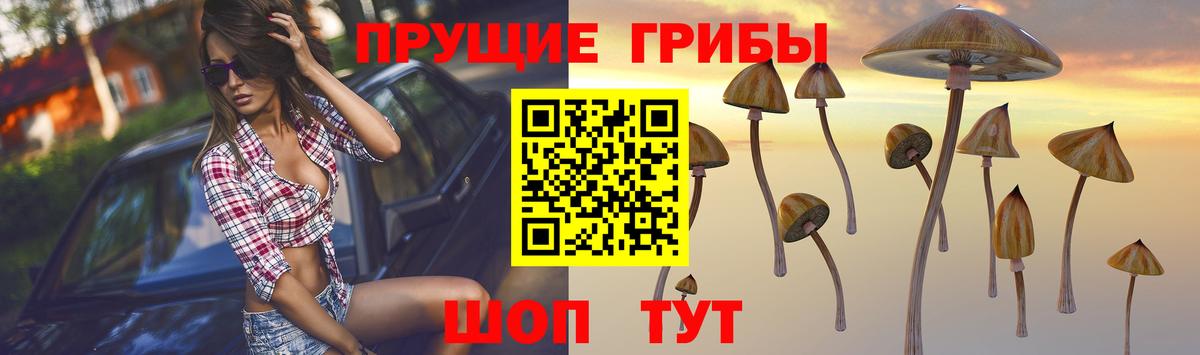 Галлюциногенные грибы мухоморы  Псилоцибиновые грибы мицелий  Смоленск  Вход с VPN 